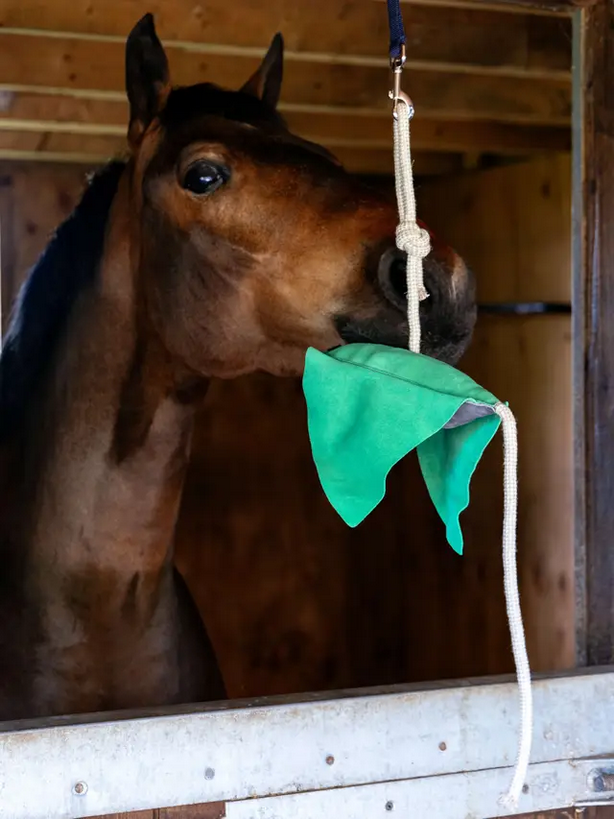 LeMieux Horse Toys