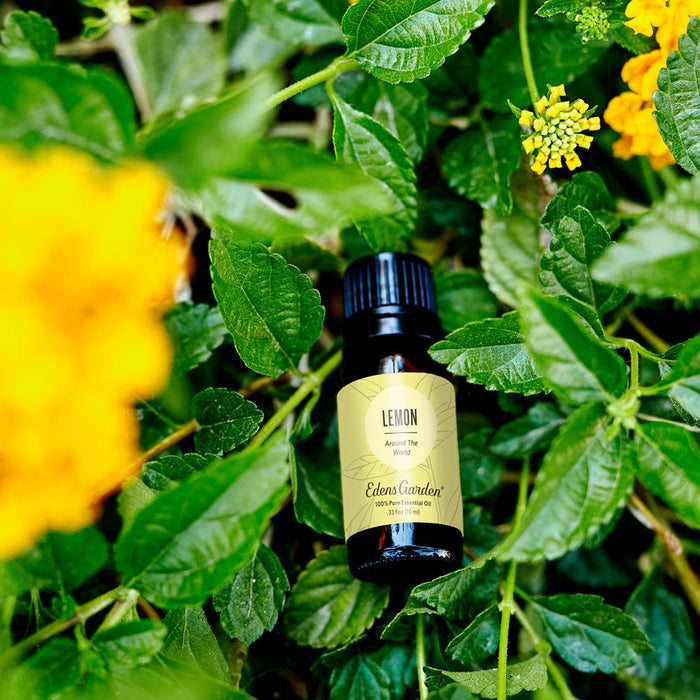 Lifestyle image of Lemon Around The World Essential Oil