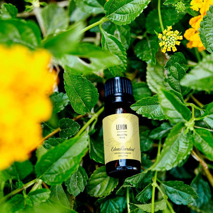 Lifestyle image of Lemon Around The World Essential Oil