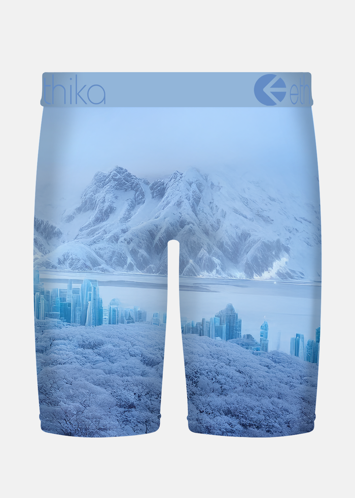 Men ETHIKA Bomber City of Stillness Boxers