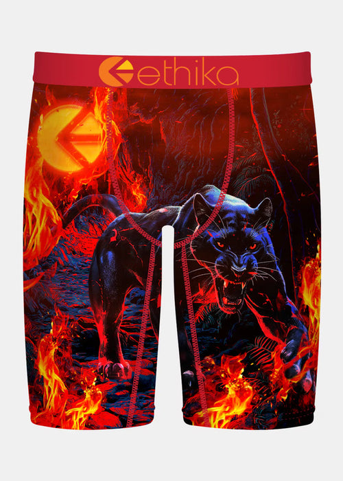 Men ETHIKA Firewalker Boxers