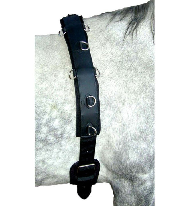 Neoprene Lunging Surcingle