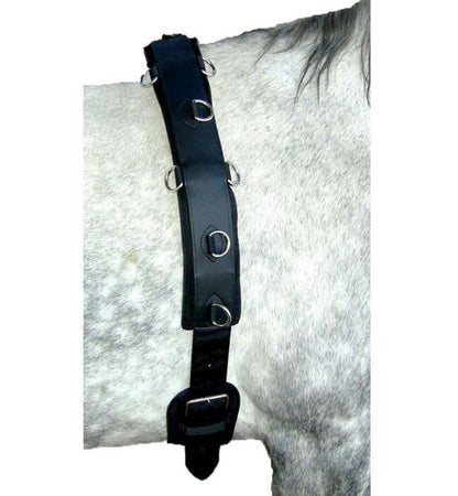 Neoprene Lunging Surcingle