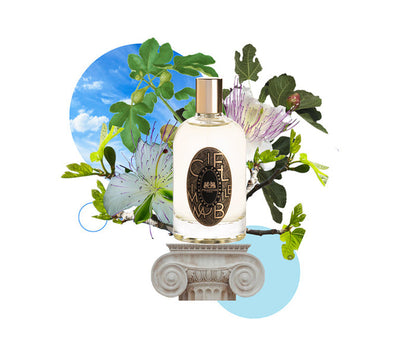 Phaedon Paris - Eau de Parfum Ciel Immobile