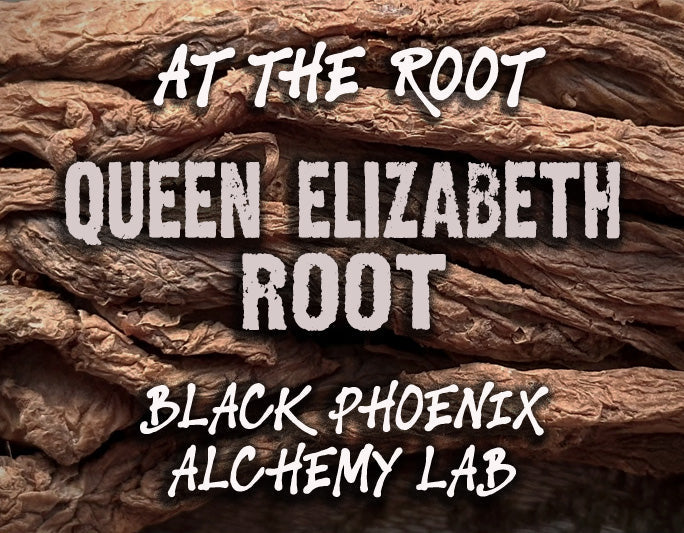 Queen Elizabeth Root Perfume Oil