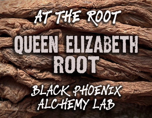 Queen Elizabeth Root Perfume Oil