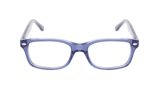 RAY BAN 1531