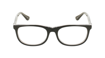 RAY BAN 1642