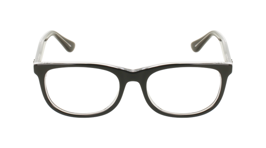 RAY BAN 1642