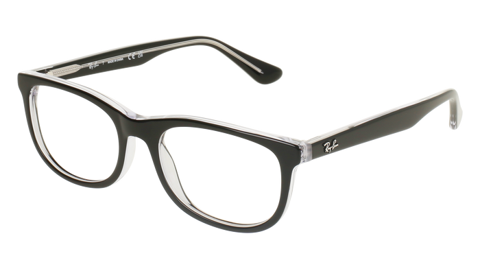 RAY BAN 1642