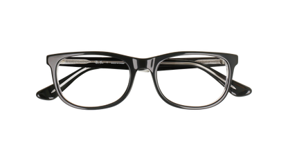 RAY BAN 1642