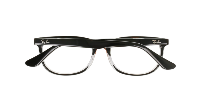 RAY BAN 1642