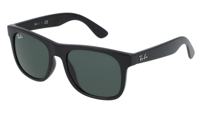 RAY BAN 9069S