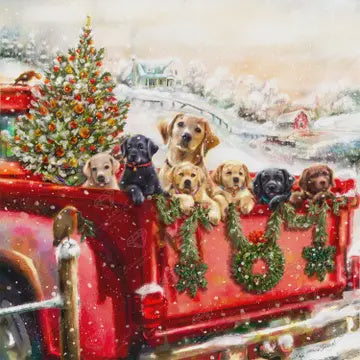 Red Truck and Labradors