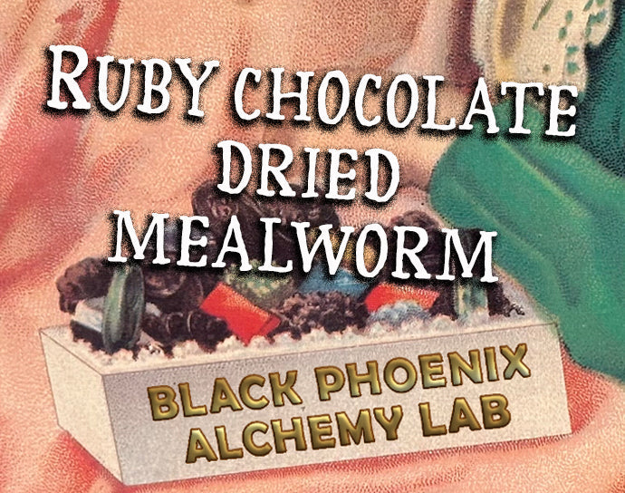 Ruby Chocolate Dried Mealworm Perfume Oil