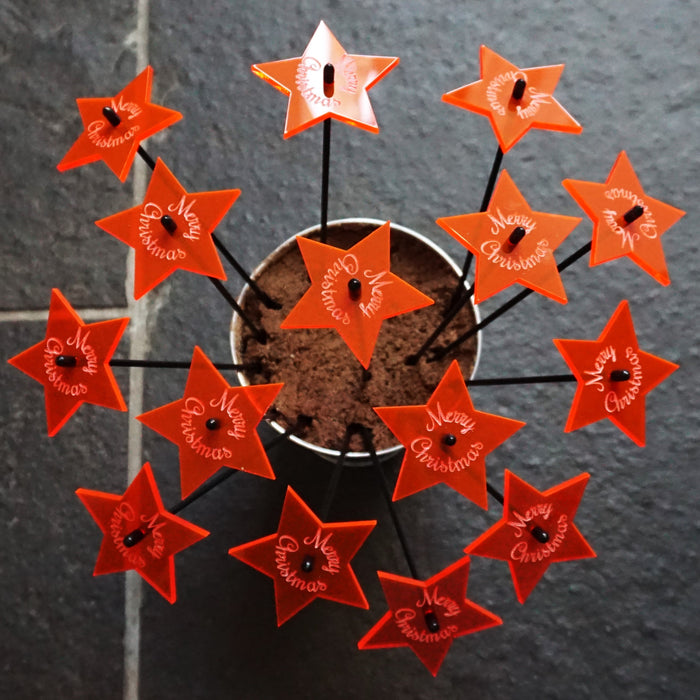 Sales Display Trevor Christmas Star 'Merry Christmas'