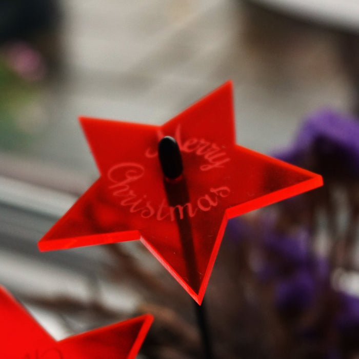 Sales Display Trevor Christmas Star 'Merry Christmas'
