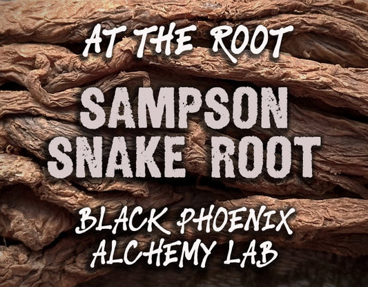 Sampson Snake Root Black Phoenix Alchemy Lab At The Root Activism Lunacy