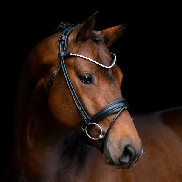 SD Designs Rapsody Rolled Bridle