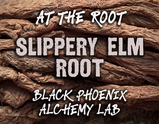 Slippery Elm Root Perfume Oil