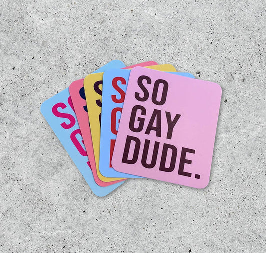So Gay Dude vinyl sticker