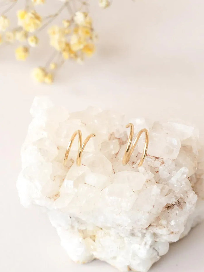 wellthy® 14k Yellow Gold Spiral Earrings
