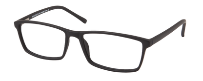 SS 100