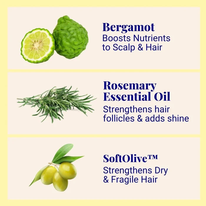 Starter Kit (140x Washes) Hydrating Volume Conditioner For Fine, Dry & Thinning Hair Bergamot & Rosemary
