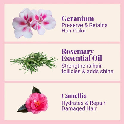 Starter Kit (140x Washes) Nourishing Repair Conditioner For Thick, Damaged & Frizzy Hair Geranium & Rosemary