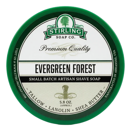 Evergreen Forest