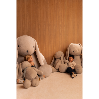 Liewood - Teddy - Bernis - Rabbit - Mist - Lifestyle Cut