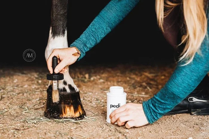 The Infused Equestrian Pedi Hoof Care