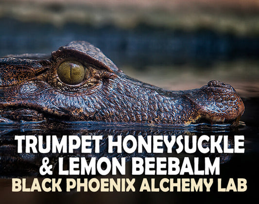 Trumpet Honeysuckle & Lemon Beebalm Perfume Oil