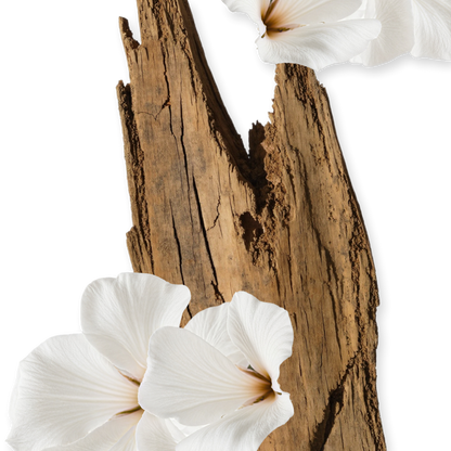 VALAYA HAIR PERFUME