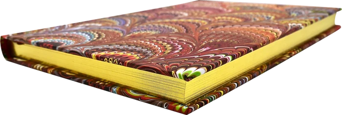 Venetian Journal